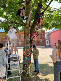 20230620_baum_2.jpg